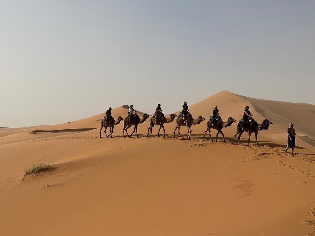 Shared Fes to Marrakech Desert Tour 4 Days - Image 7