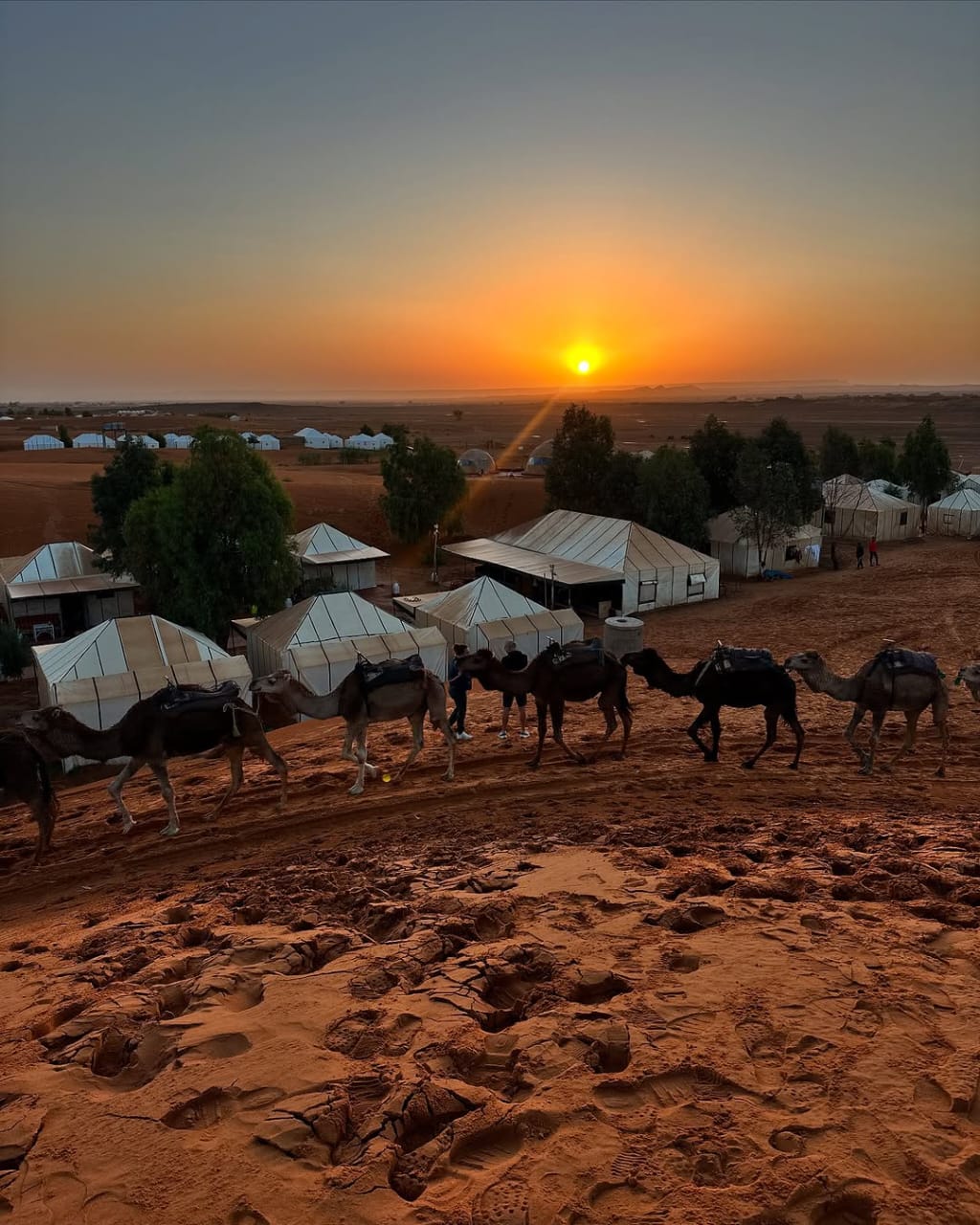 Fes to Marrakech Shared Desert Tour - Image 8