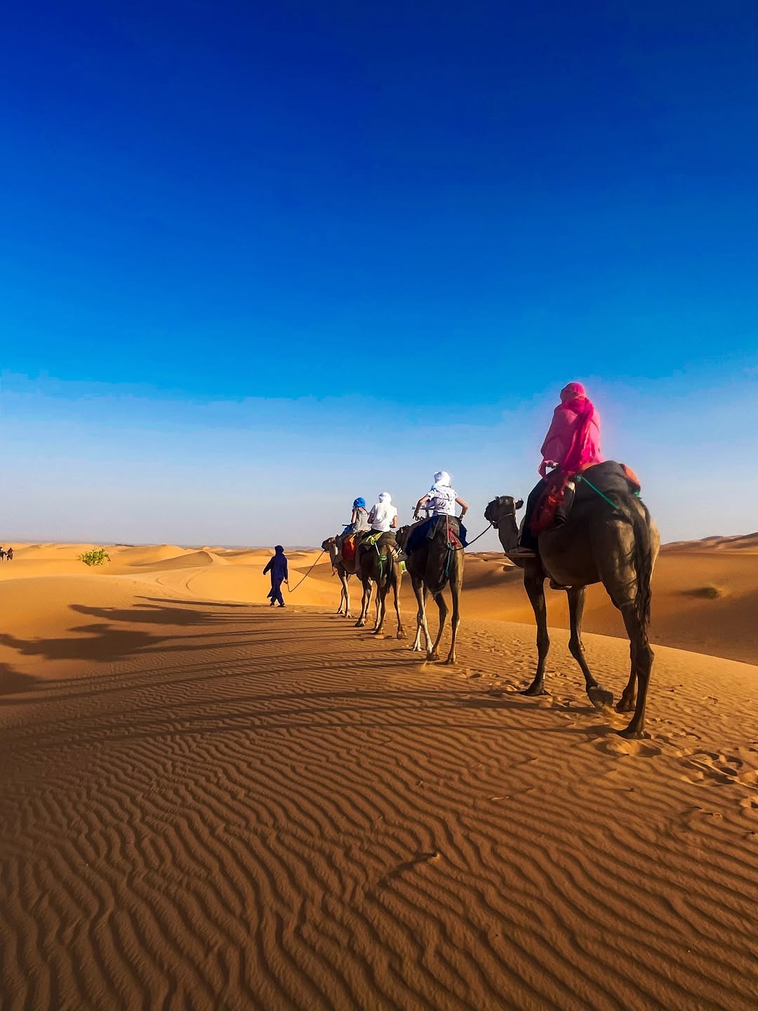 Desert Picnic Lunch Experience - Image 9