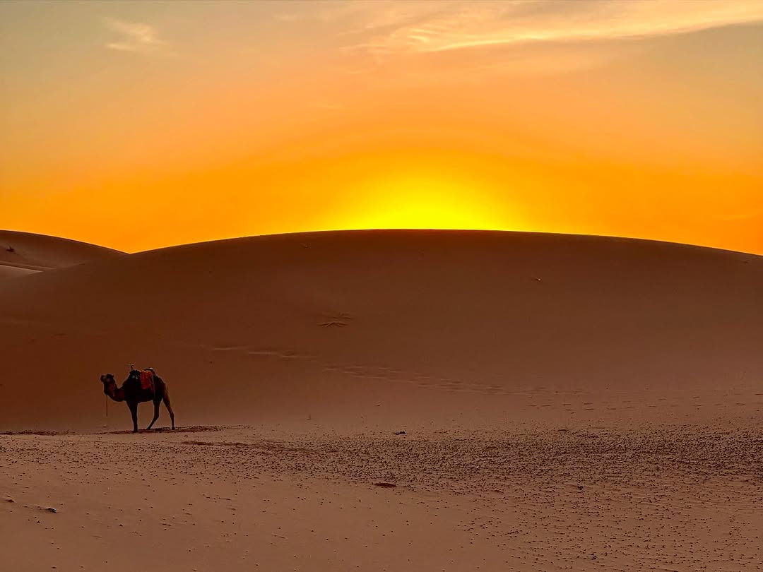 Camping in Merzouga Desert (Erg Chebbi Dunes) - Image 5