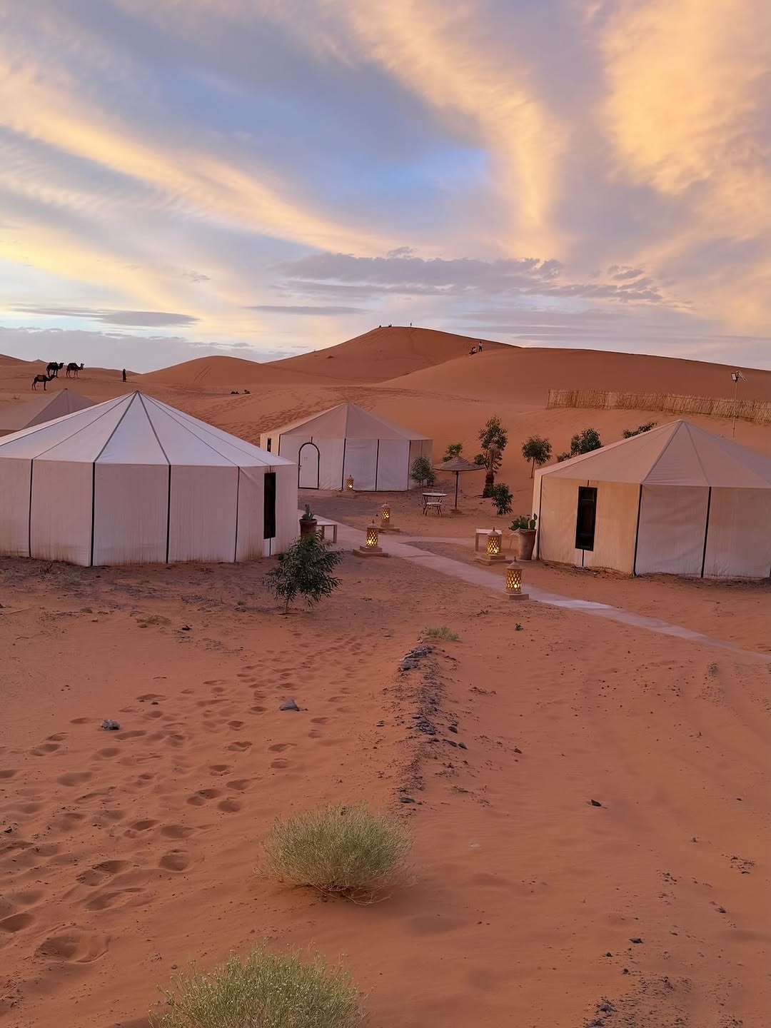 Romantic Desert Dinner Under the Stars - Image 4
